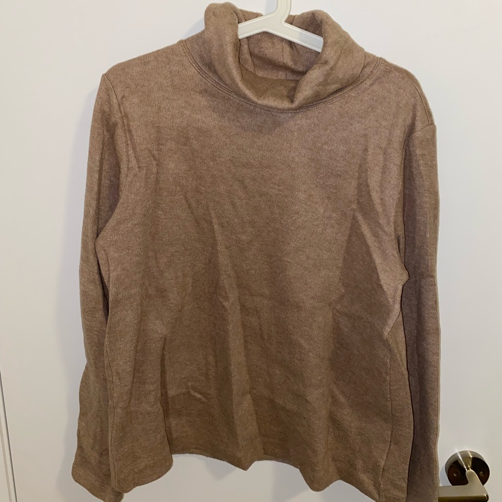 Aritzia the group camel turtleneck
